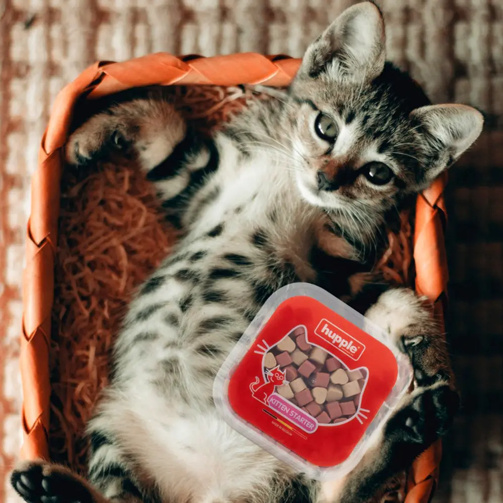 Product 1 - Foto 2