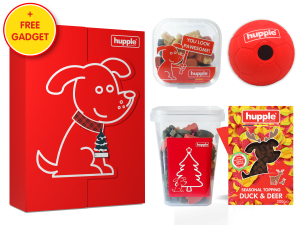 X-mas Box dog