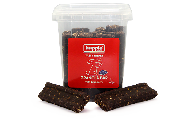 Granola Bar With Blueberry