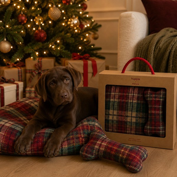 Giftbox X-mas plaid + bone